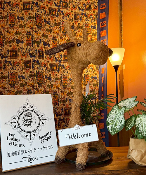 コチの内観-4